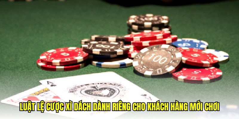 Chiến thuật chơi Xì dách hiệu quả